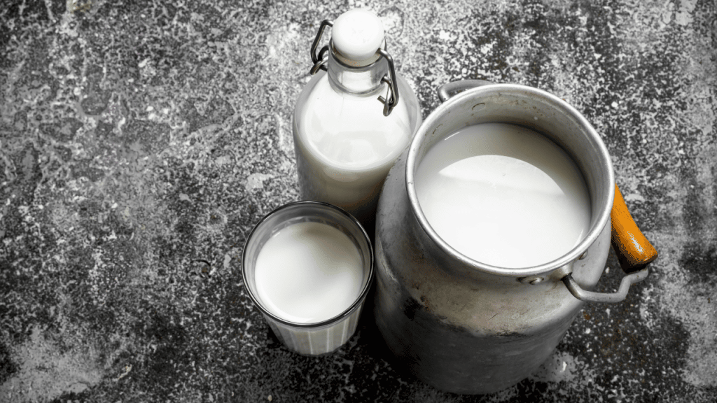 Zamjena za kravlje mlijeko
